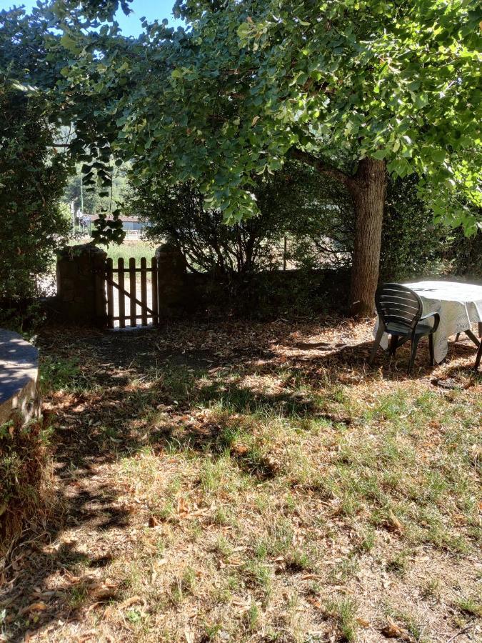 Rendez-vous Sous Le Tilleul, En Cevennes. *